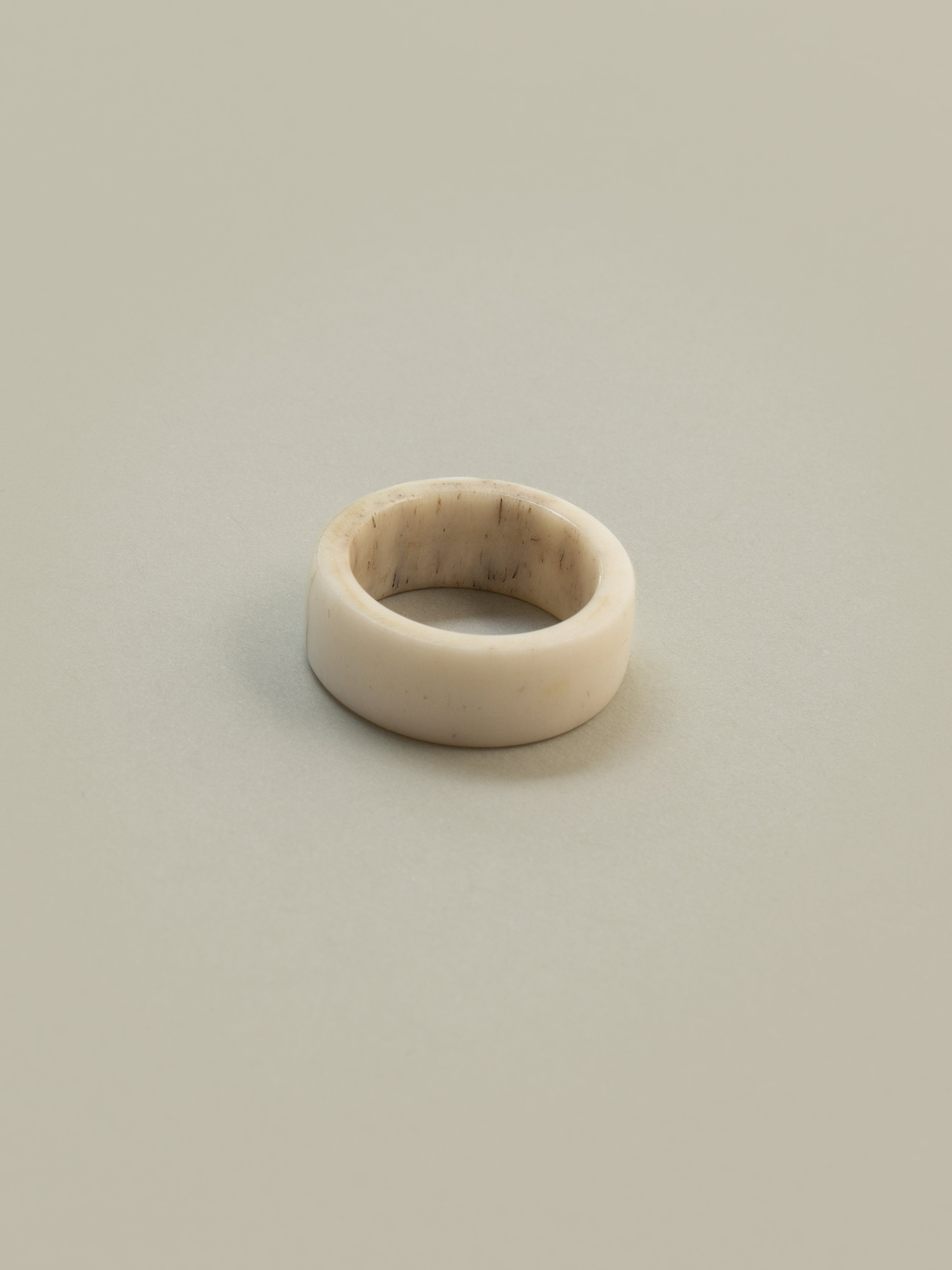 Naturally Shed Deer Antler