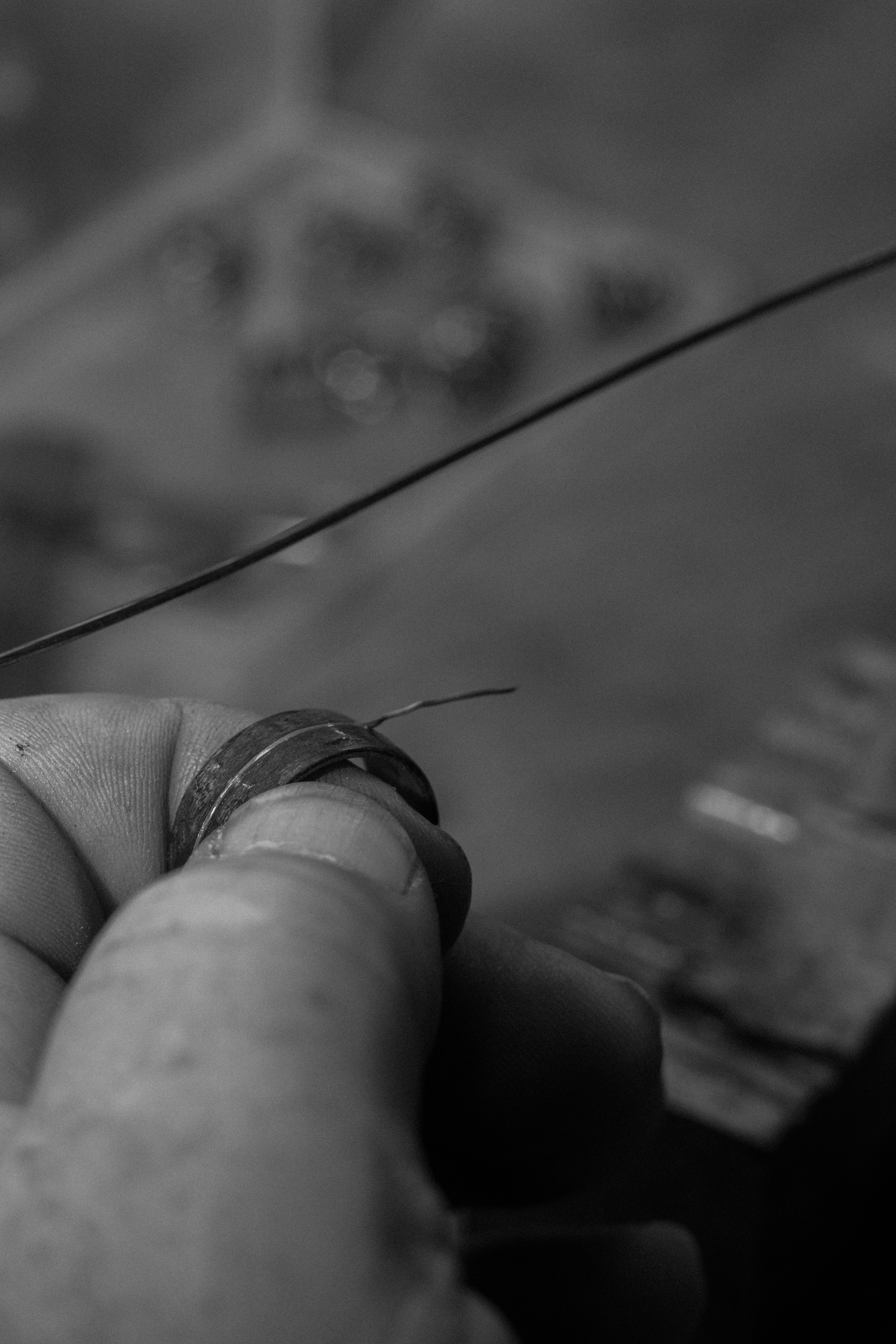 Red Cedar and guitar string on Copper