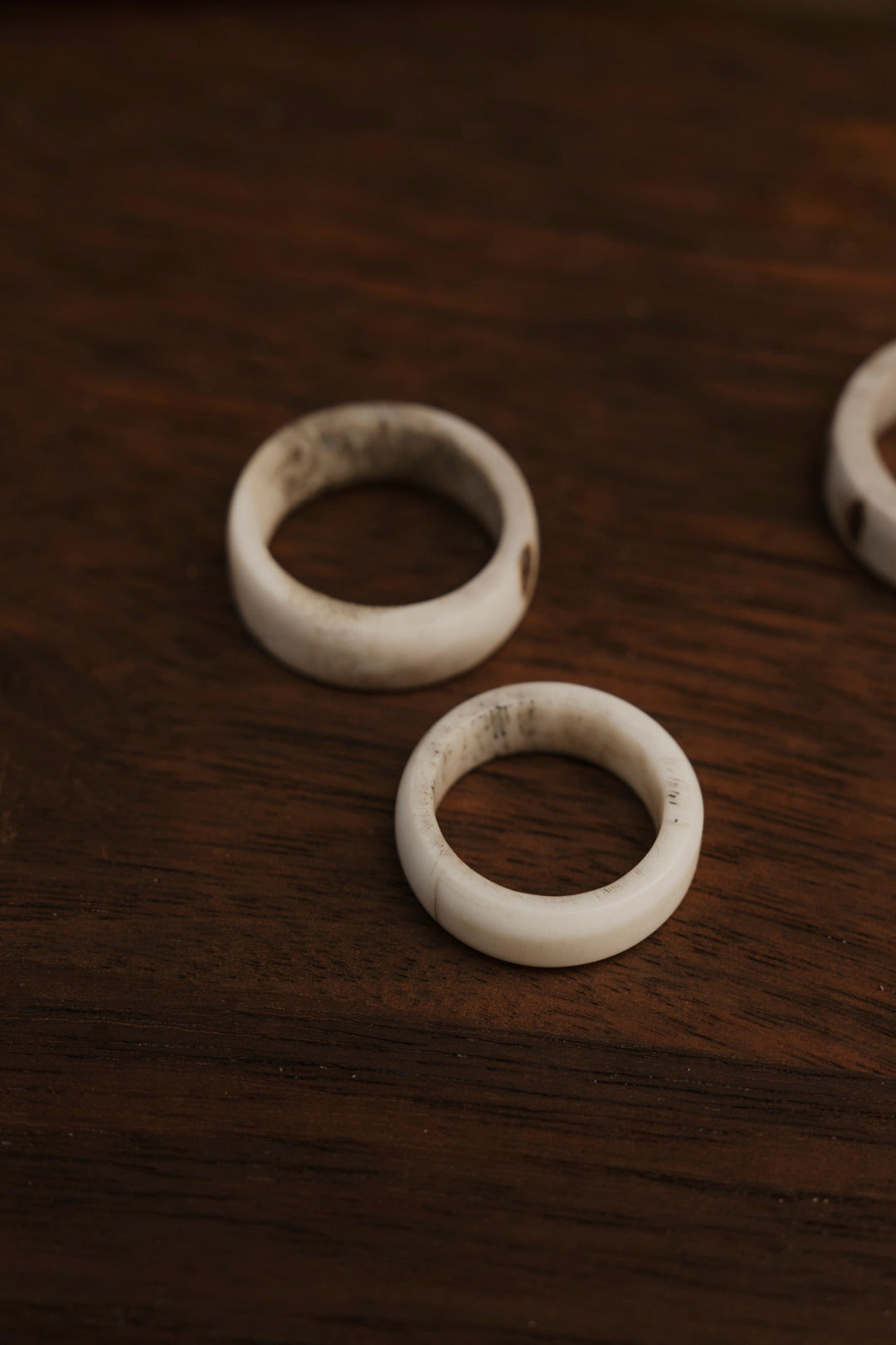 Naturally Shed Deer Antler